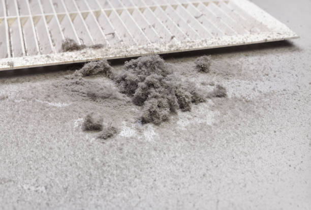 Ventilation Cleaning Services in Kurtistown, HI