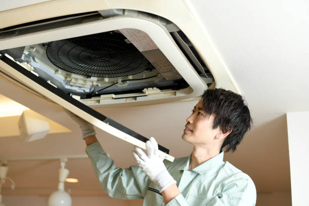 Best Air Quality Test  in Kurtistown, HI