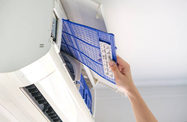 Best Air Quality Test  in Kurtistown, HI