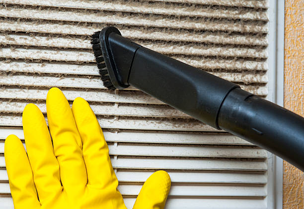Best HVAC Duct Inspection Services  in Kurtistown, HI